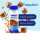 Probierflasche Fresubin ENERGY FIBRE Drink Karamell 1x200ml