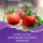 Fortimel Jucy Plus Birne Holunder