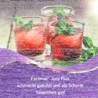 Fortimel Jucy Plus Mango Ananas