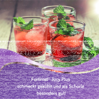Fortimel Jucy Plus Drink Birne Holunder 4x200ml Trinkflasche